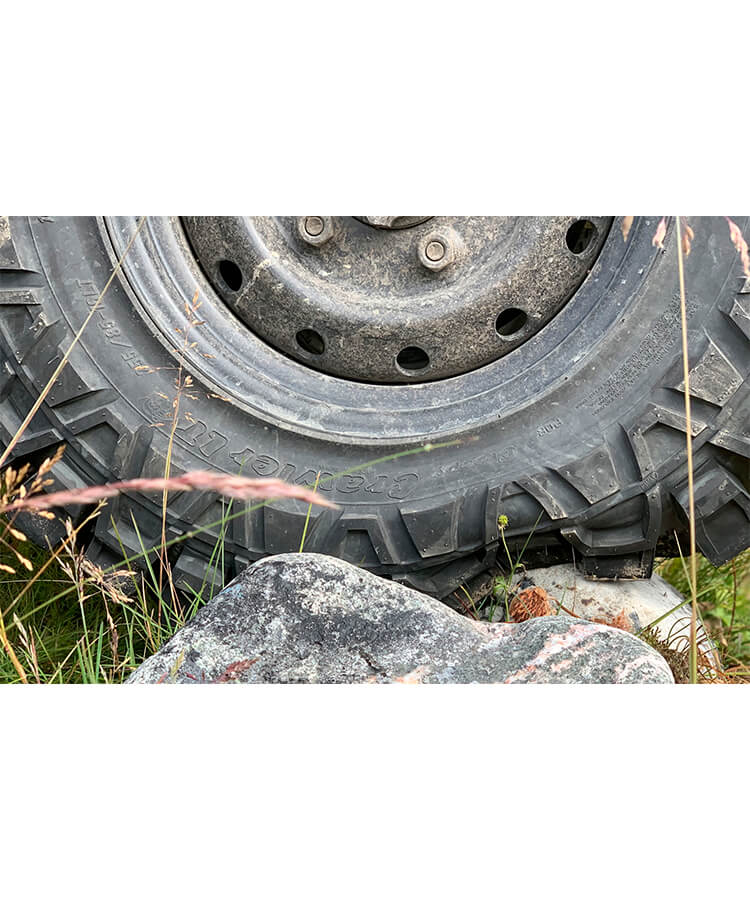 Maxxis M8090 Creepy Crawler купить в KOLOBOX