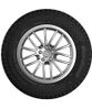 Cordiant ЛГШ Business (CA-2) 185/75 R16C 104/102Q (б/к) купить в KOLOBOX